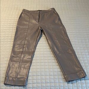 Ann Taylor Women's Gray/ Plum leather imitation Pants